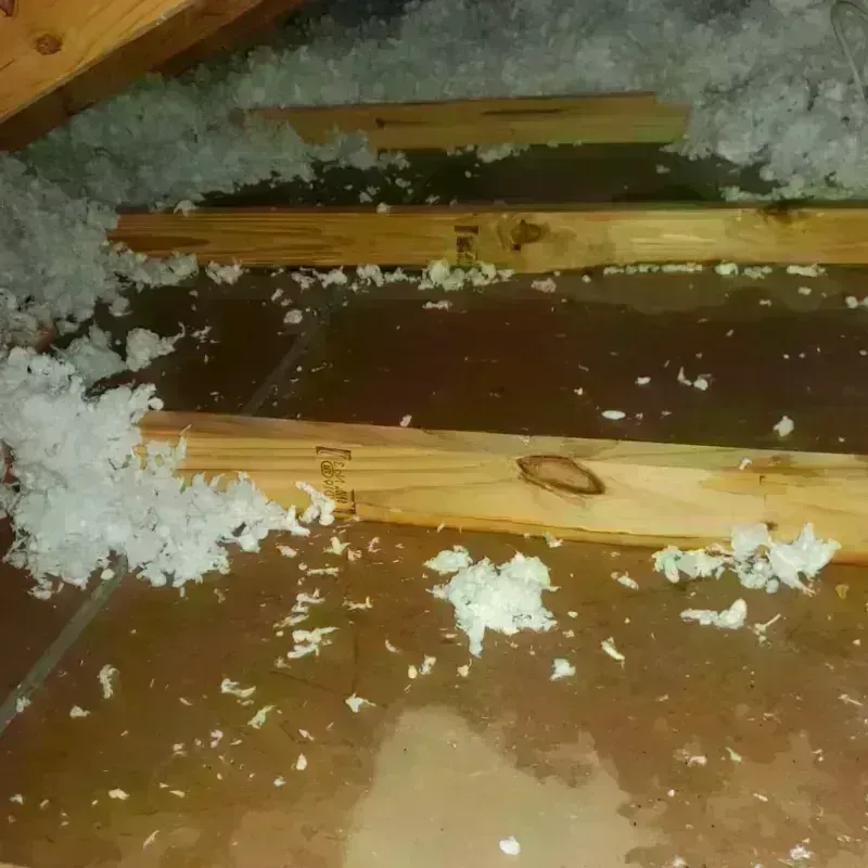 Attic Water Damage in Bridgewater, VA