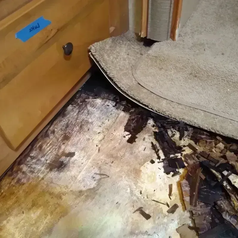 Best Wood Floor Water Damage Service in Bridgewater, VA